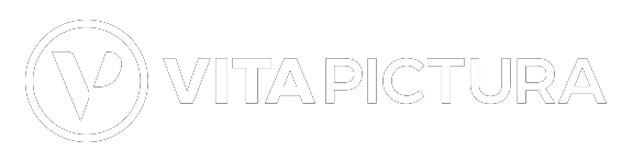 Vita Pictura